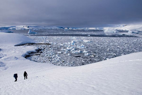 Đến Nam Cực- xứ sở của chim cánh cụt - 7