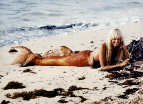 Mỹ nhân ngư xinh đẹp trên màn ảnh - 10