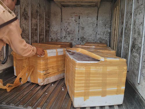 Lại cho nhập nội tạng đông lạnh! - 1