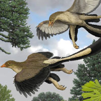 Tin tức trong ngày - Giải mã bí ẩn của khủng long bay