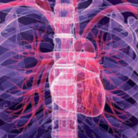 Sức khỏe đời sống - Tinh hoàn lớn: Dấu hiệu bệnh tật?