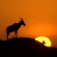 Du lịch - Tới thăm Kenya - "Cái nôi của nhân loại"