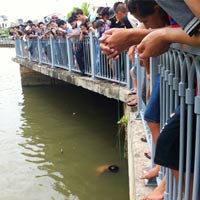 Pháp luật - Tp.HCM: Xác người đàn ông trên kênh Nhiêu Lộc