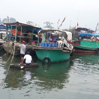 Tin tức trong ngày - Bão số 5: Sơ tán hơn 5.000 dân