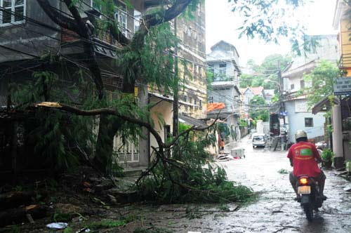 Bão tan, nước biển vẫn dâng cao - 2