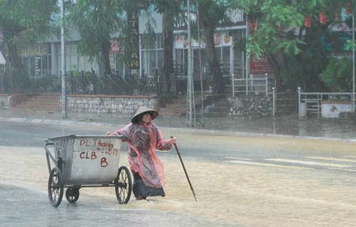 Quảng Ninh thiệt hại 10 tỷ đồng vì bão - 6