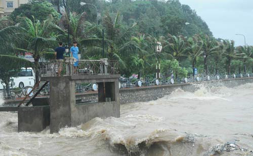 Dân vô tư đùa với bão bên kè biển - 2