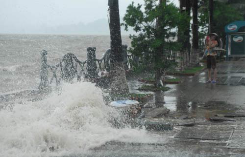 Dân vô tư đùa với bão bên kè biển - 3