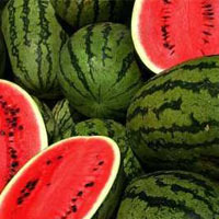 Thị trường - Tiêu dùng - Nông dân trồng dưa lỗ 2-3 triệu đồng/sào