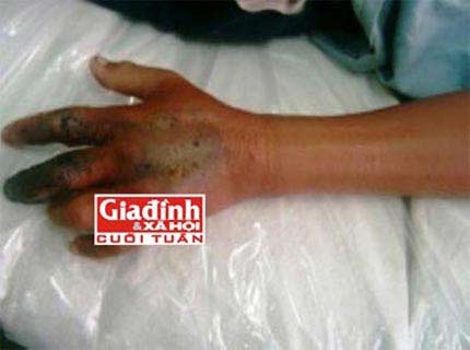 Đánh đu sinh mạng với thú cưng tiền tỉ - 4