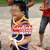 Tin tức trong ngày - Đánh đu sinh mạng với thú cưng tiền tỉ