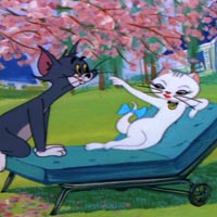 Video funny TOM & JERRY: Thất tình