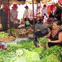 Thị trường - Tiêu dùng - Giá thực phẩm tươi tăng mạnh sau bão
