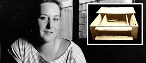 Cô gái sống trong chiếc hộp (Kỳ 5) - 2