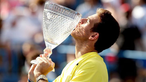 Rogers Cup 2013: “Tam đấu” Djokovic, Murray, Nadal - 2