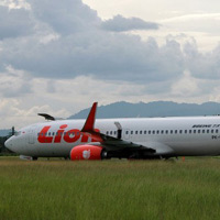 Tin tức trong ngày - Indonesia: Hoảng loạn vì máy bay đâm phải… bò