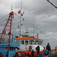 Tin tức trong ngày - Tàu chết máy, 13 ngư dân gặp nạn trên biển