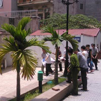 Tin tức trong ngày - Gia đình tử tù bị tiêm thuốc độc nghĩ gì?