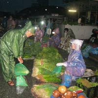 Tin tức trong ngày - Mưa bão, rau “đội giá” gấp đôi