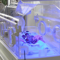 Tin tức trong ngày - Trẻ suýt bị chôn sống được nuôi lồng kính