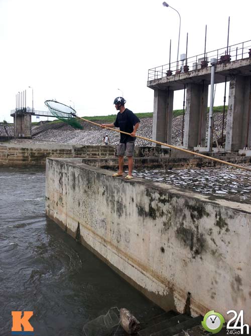 HN lụt: Mò biển số, bắt cá kiếm bộn tiền - 6