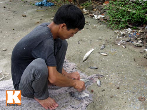 HN lụt: Mò biển số, bắt cá kiếm bộn tiền - 3