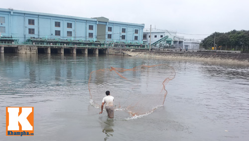 HN lụt: Mò biển số, bắt cá kiếm bộn tiền - 2