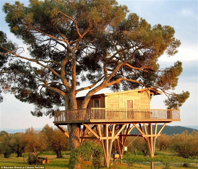 Ngôi nhà bằng gỗ tuyệt đẹp, được xây dựng trên sàn khổng lồ đặt dưới tán cây sồi, có tầm nhìn xa và rộng ở Ý.