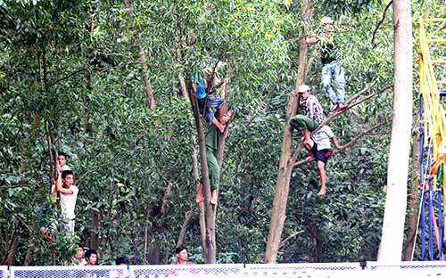 Khán giả trèo cây để xem đua xe máy - 6
