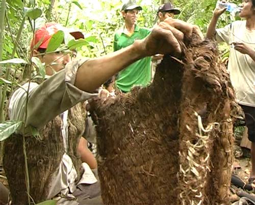 “Người rừng” may áo bằng vỏ cây - 2