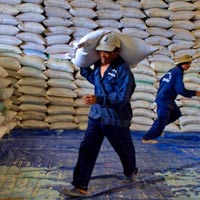 Thị trường - Tiêu dùng - Nan giải bài toán tạm trữ lúa gạo