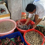 Ai cần tầm soát bệnh tiểu đường?