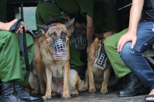 Chùm ảnh diễn tập cứu nạn lớn nhất TPHCM - 8