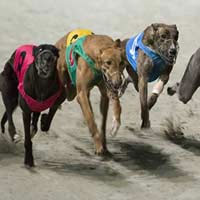 Tin tức trong ngày - Đề nghị cho phép cá cược tối đa 1 triệu đồng