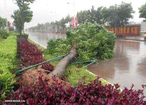 Chùm ảnh siêu bão Utor tàn phá Trung Quốc - 1