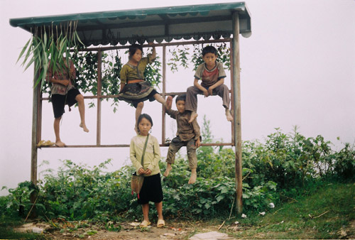 Chàng trai chuyên Lý từng đoạt búp sen bạc LHP - 4