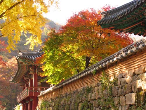 Hàn Quốc – Vẻ đẹp truyền thống - 1