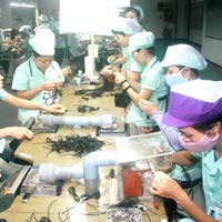 Thị trường - Tiêu dùng - 518 doanh nghiệp FDI “vắng chủ”