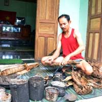 Tin tức trong ngày - Phỏng vấn "người rừng":... 1 triệu đồng