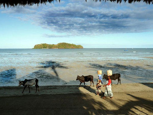 Ghé thăm đất nước Madagascar - 5