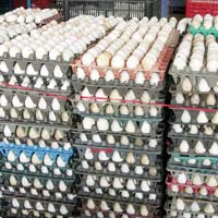 Thị trường - Tiêu dùng - Trứng vịt tăng giá vì… bánh Trung thu