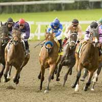 Tin tức trong ngày - Cá cược thể thao: Đã mở thì mở cho trúng