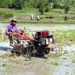Kinh doanh - Tín dụng vẫn khó cho nông dân