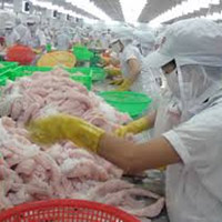 Thị trường - Tiêu dùng - Gỡ “nợ xấu” cho ngành nông sản