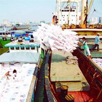 Thị trường - Tiêu dùng - Kiểm tra xuất khẩu nông, lâm, thủy, hải sản