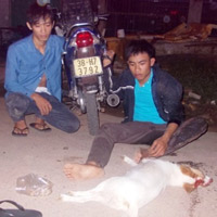 Tin tức trong ngày - Bị truy bắt, "cẩu tặc" ném bột ớt vào "hiệp sĩ"