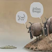 Video Clip Cười - Cục gỗ hay cá sấu?