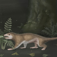 Tin tức trong ngày - Phát hiện loài động vật có vú cổ xưa nhất