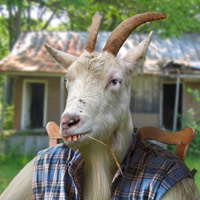 Cười 24h - Hi vọng của chàng “dê”