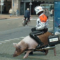 Cười 24h - Nuôi lợn kiểu mới